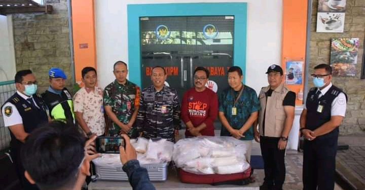 TNI AL Berhasil Gagalkan Penyelundupan Benih Bening Lobster ke Singapura Senilai Lebih dari 8 M