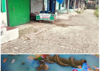 Pipit Kuasai Judi Tembak Ikan Di Medan Utara. Dirkrimum Poldasu Kombes Pol. Sumaryono, S.I.K, S.H,M.H,”Akan Kita Tindak Bila Ada”